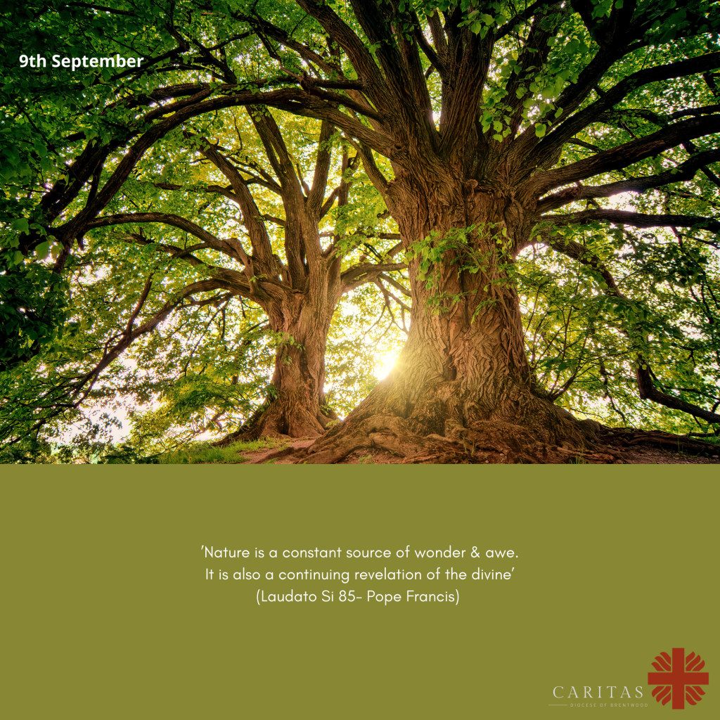 Season of Creation 9th&nbsp;September