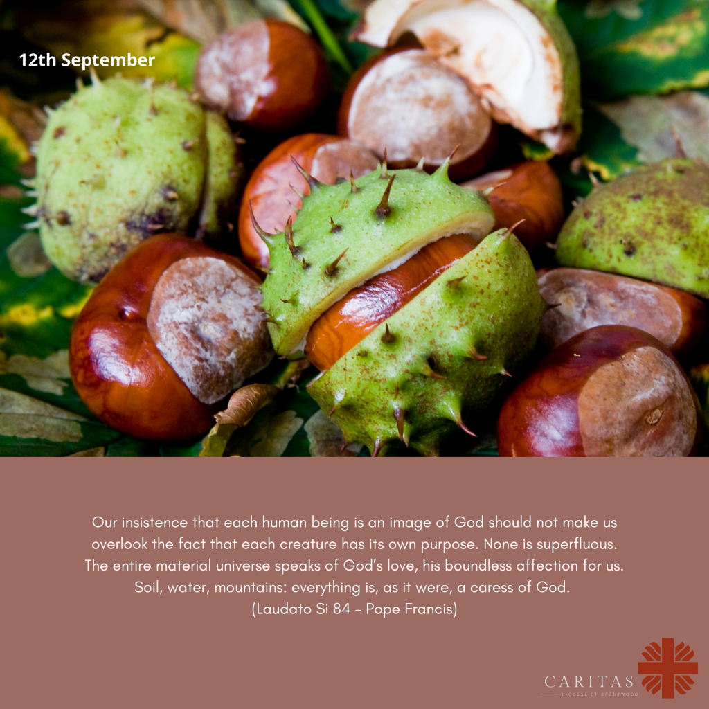 Season of Creation 12th&nbsp;September