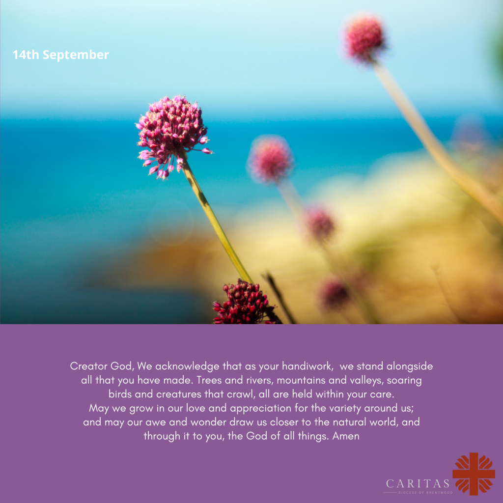 Season of Creation 14th&nbsp;September