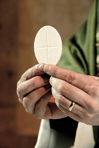 Newsletter – Twentieth Sunday in Ordinary Time (B)&nbsp;18.08.24