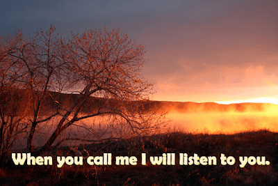 Parish Newsletter – Thirty-Third Sunday in Ordinary Time&nbsp;16.11.25